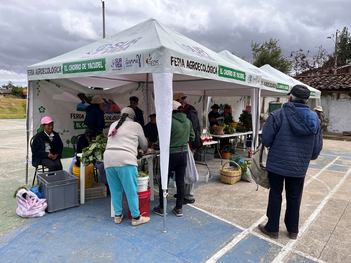 Feria de comercialización e intercambio de semillas