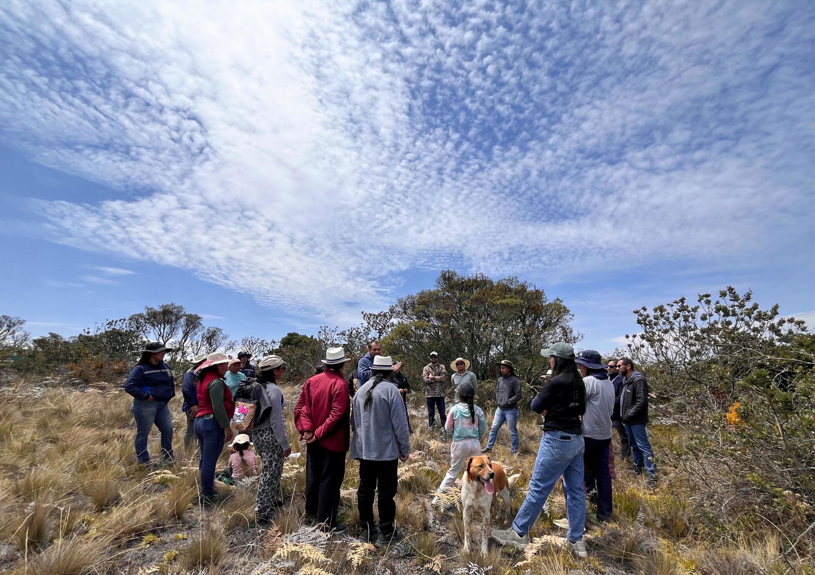 Páramo y bosque altoandino conservado por las comunidades